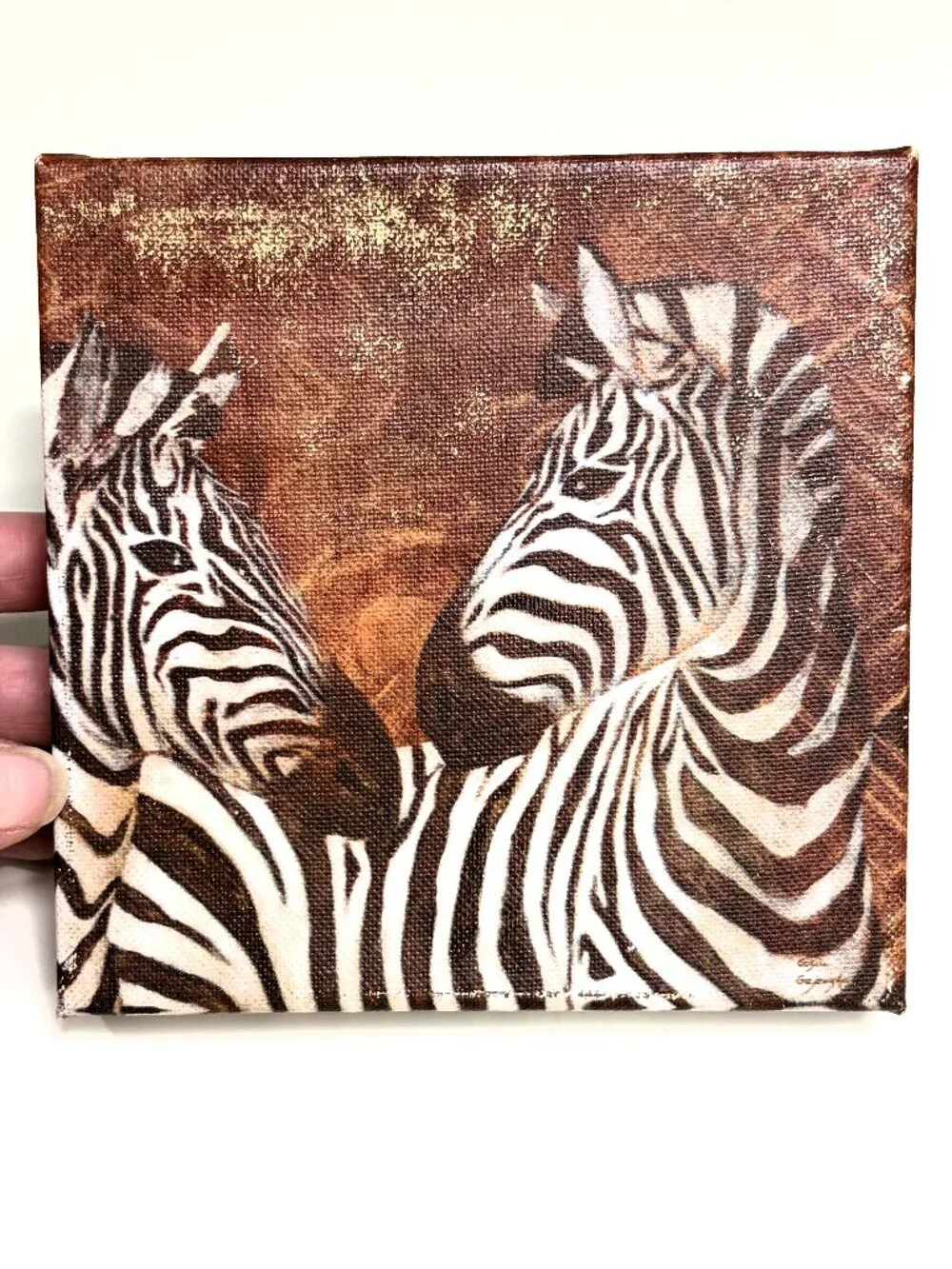 Set of 2 Safari Animal Canvas Wall Art Elephant Zebra 14x14